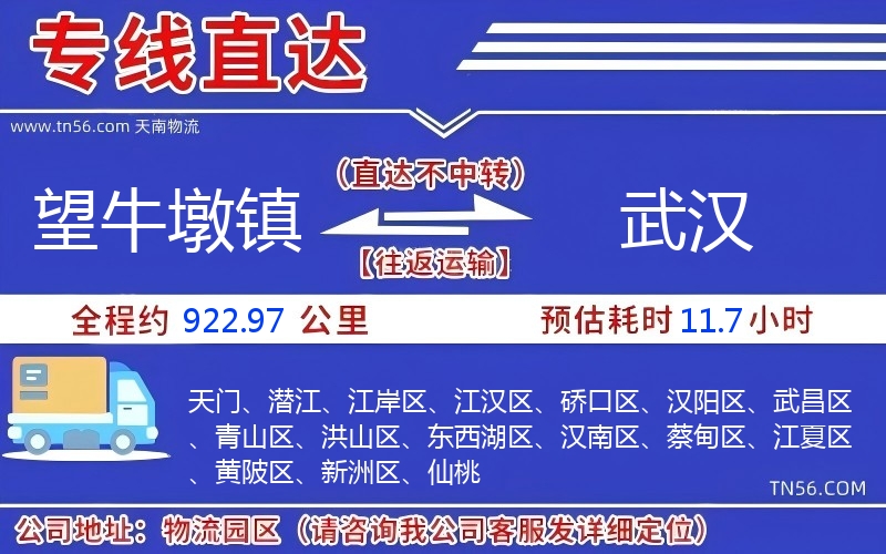 望牛墩鎮(zhèn)到武漢物流公司 望牛墩鎮(zhèn)到武漢物流公司